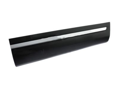 Ford HB5Z-7820878-CA Molding - Door Outside