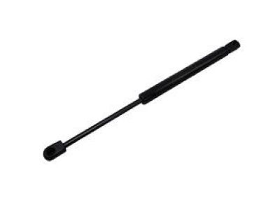 Lincoln DP5Z-16C826-B Lift Assembly - Gas