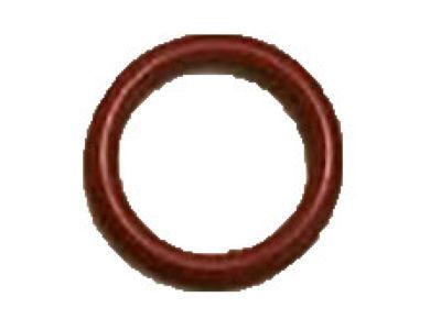 Mercury 1W1Z-19E889-DA "O" Ring                           