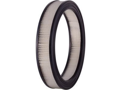 Mercury Marquis Air Filter - D3ZZ-9601-AR