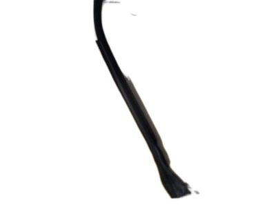 Mercury F1TZ-7851223-B Weatherstrip
