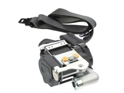 Ford Special Service Police Sedan Seat Belt - DG1Z-54611B09-AC