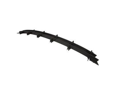 D2BZ-17K945-CA Ford Lower Grille, Front Product Photo 2 of 2