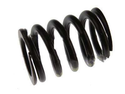 Mercury 2L2Z-6513-AA Spring - Valve