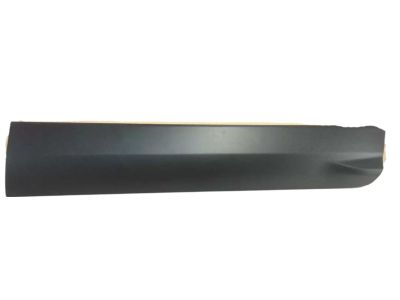 CJ5Z-7820878-AB Ford Moulding - Door Outside, Passenger Side Product Photo 4 of 4