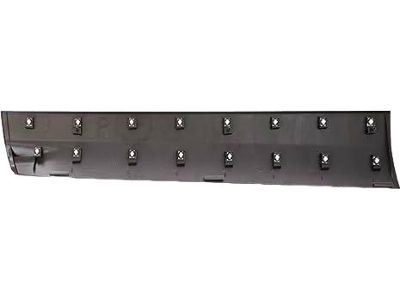 CJ5Z-7820878-AB Ford Moulding - Door Outside, Passenger Side Product Photo 2 of 4