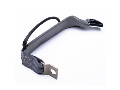 Ford F-350 Seat Belt - F4TZ-1861203-C