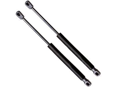 Ford 6F9Z-74406A10-B Lift Cylinder, Rear Passenger Side 6F9Z-74406A10-B Ford Lift Cylinder, Rear Passenger Side Product Photo 1 of 4