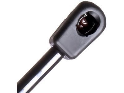6F9Z-74406A10-B Ford Lift Cylinder, Rear Passenger Side Product Photo 4 of 4