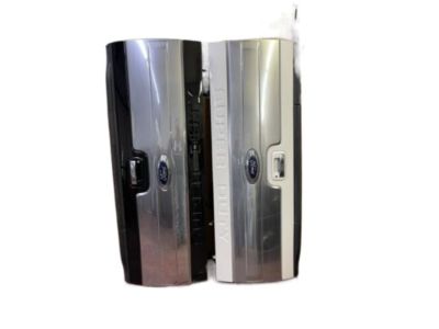 Ford DC3Z-9940700-C Tailgate Assembly