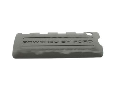 BR3Z-6P067-AA Ford Outer Cover, Passenger Side Product Photo 1 of 4