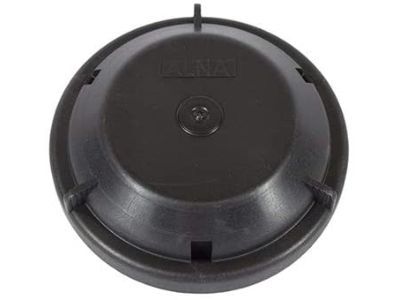 Lincoln BT4Z-13N019-A Retainer - Bulbs