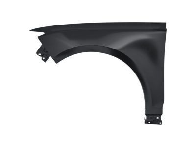 Lincoln DP5Z-16006-A Fender Assembly - Front