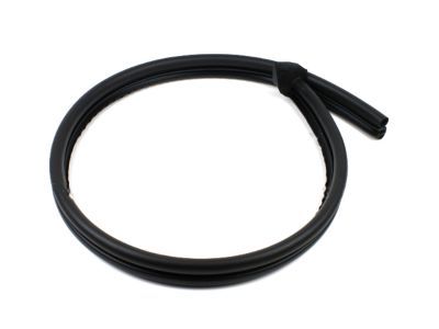 Ford E-150 Econoline Club Wagon Weather Strip - F2UZ-1541654-A