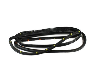 Lincoln 6E5Z-5425324-AA Weatherstrip
