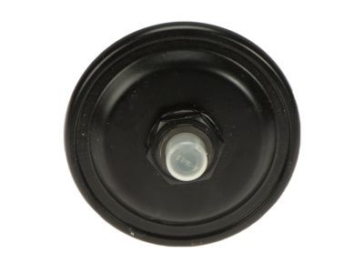 Ford F6TZ-9N163-AA Accumulator Assembly - Fuel