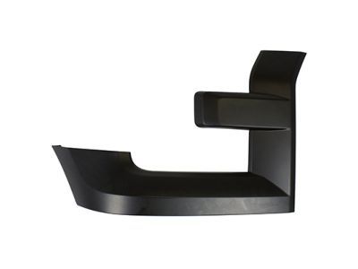 Ford FL3Z-17C754-BPTM Molding - Bumper Bar