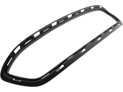 AE8Z-8200-BB Ford Grille - Radiator, Lower Product Photo 2 of 3