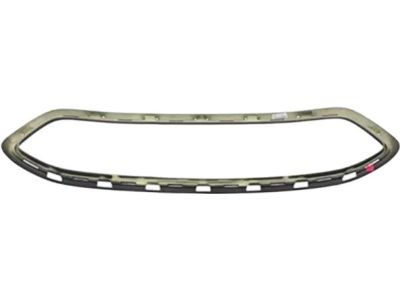 Ford AE8Z-8200-BB Grille - Radiator, Lower AE8Z-8200-BB Ford Grille - Radiator, Lower Product Photo 1 of 3