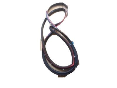 CV6Z-5820709-A Ford Weatherstrip Assembly - Door Opening, Driver Side Product Photo 1 of 1