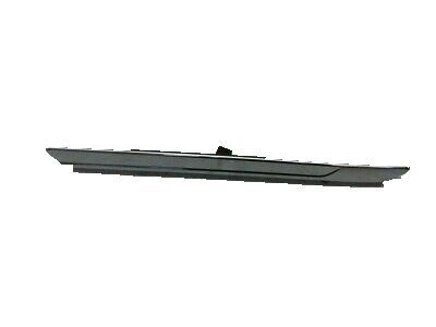 Ford JB5Z-17C830-AC Molding - Bumper Bar
