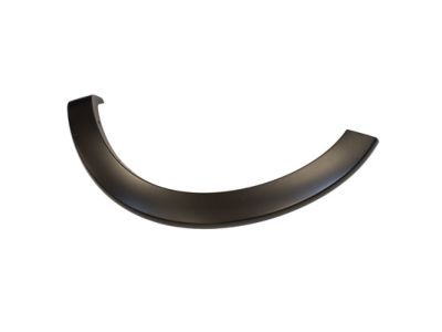 Ford 6L2Z-16039-CAPTM Moulding