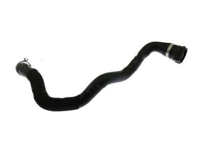 Ford CV6Z-8260-T Hose - Radiator