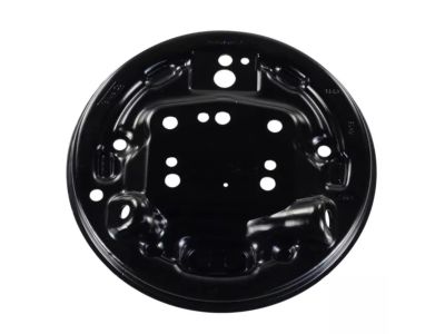8V5Z-2211-A Ford Plate Assembly - Brake Back, Passenger Side Product Photo 1 of 1