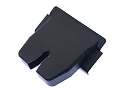 Ford DT1Z-58218A14-A Latch Cover DT1Z-58218A14-A Ford Latch Cover Product Photo 1 of 1