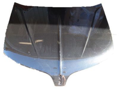 Lincoln Hood - DA5Z-16612-A
