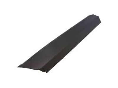 8A5Z-5425556-AA Ford Lower Molding, Rear Passenger Side Product Photo 1 of 1