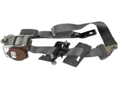 Ford BL3Z-18611B68-AA Seat Belt Assembly BL3Z-18611B68-AA Ford Seat Belt Assembly Product Photo 1 of 1