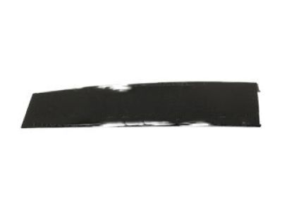 Ford FT4Z-5820554-B Molding - Door Outside