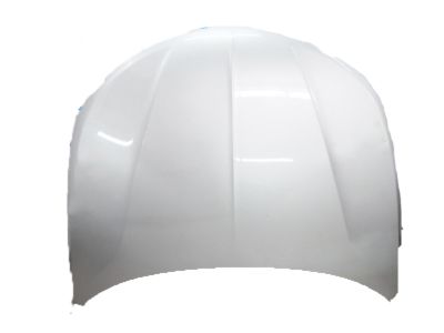 Lincoln DP5Z-16612-A Hood Assembly