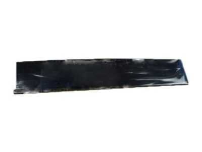 Ford BA8Z-7420555-BA Molding - Door Outside