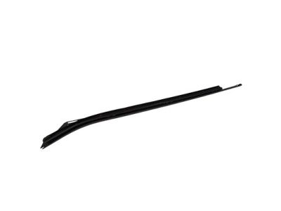 FL3Z-1625596-A Ford Weatherstrip - Door Glass Channel, Passenger Side Product Photo 3 of 4