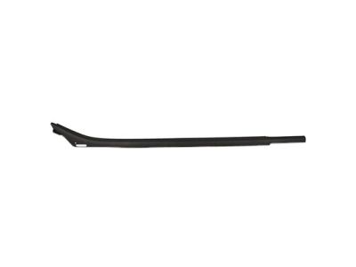 FL3Z-1625596-A Ford Weatherstrip - Door Glass Channel, Passenger Side Product Photo 2 of 4