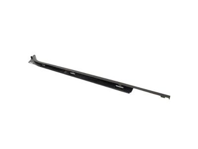 FL3Z-1625596-A Ford Weatherstrip - Door Glass Channel, Passenger Side Product Photo 4 of 4