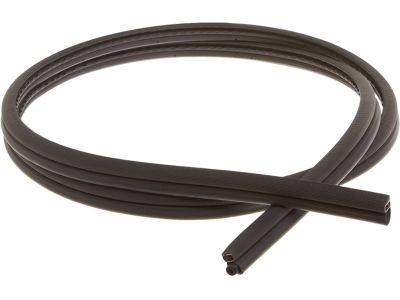 Ford FOTZ-1520708-A Weatherstrip Assembly - Door Opening