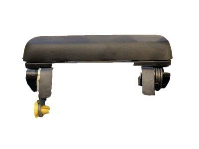 Ford F3TZ-7822405-A Handle Assembly - Door Outer