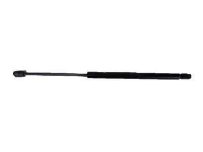 Ford F81Z-16C826-AD Lift Cylinder, Passenger Side F81Z-16C826-AD Ford Lift Cylinder, Passenger Side Product Photo 1 of 1