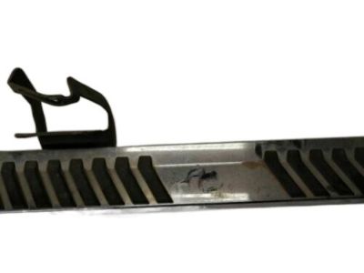 Ford HC3Z-16451-JA Step Assembly