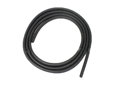 Ford 3C3Z-2820709-BA Weatherstrip Assembly - Door Opening
