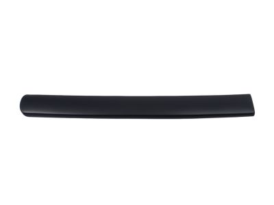 Ford 1C3Z-2825532-AAE Moulding - Door Outside, Passenger Side 1C3Z-2825532-AAE Ford Moulding - Door Outside, Passenger Side Product Photo 1 of 1
