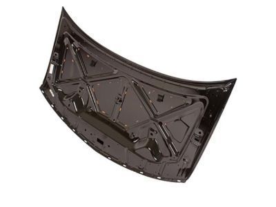 Lincoln Hood - 7A1Z-16612-A