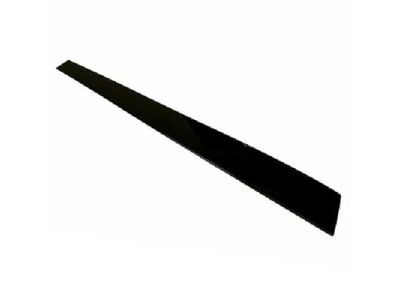 Lincoln DP5Z-5451968-A Panel - Roof Trim - Centre