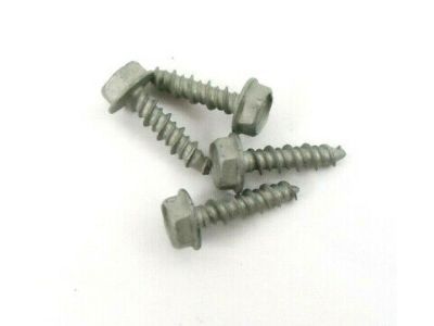 Ford -W701696-S439 Screw -W701696-S439 Ford Screw Product Photo 1 of 1