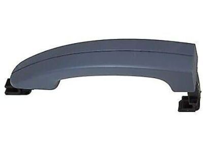 Ford CV6Z-5422404-CA Handle Assembly - Door Outer