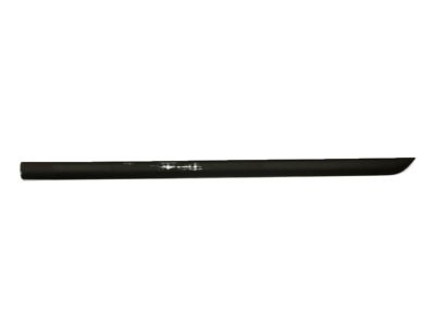 Ford 5S4Z-6120938-AAPTM Molding - Door Outside