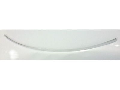 Ford EOTZ-1003148-A Moulding - Windshield